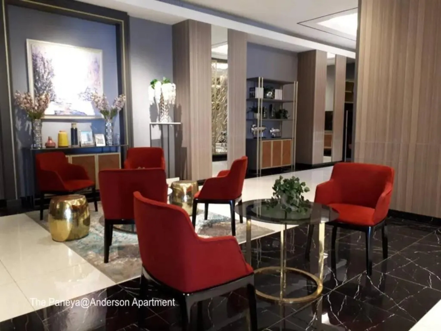 The Paneya @Anderson Apartment