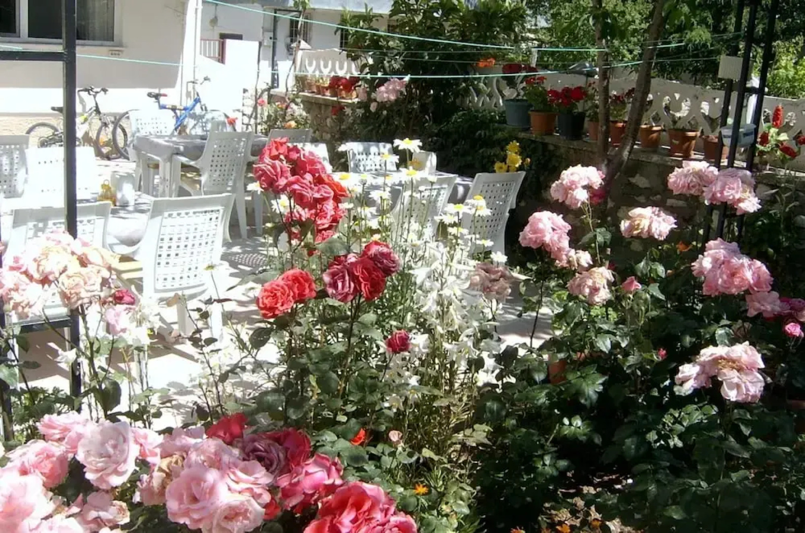 Sehsuvar Peace Pension