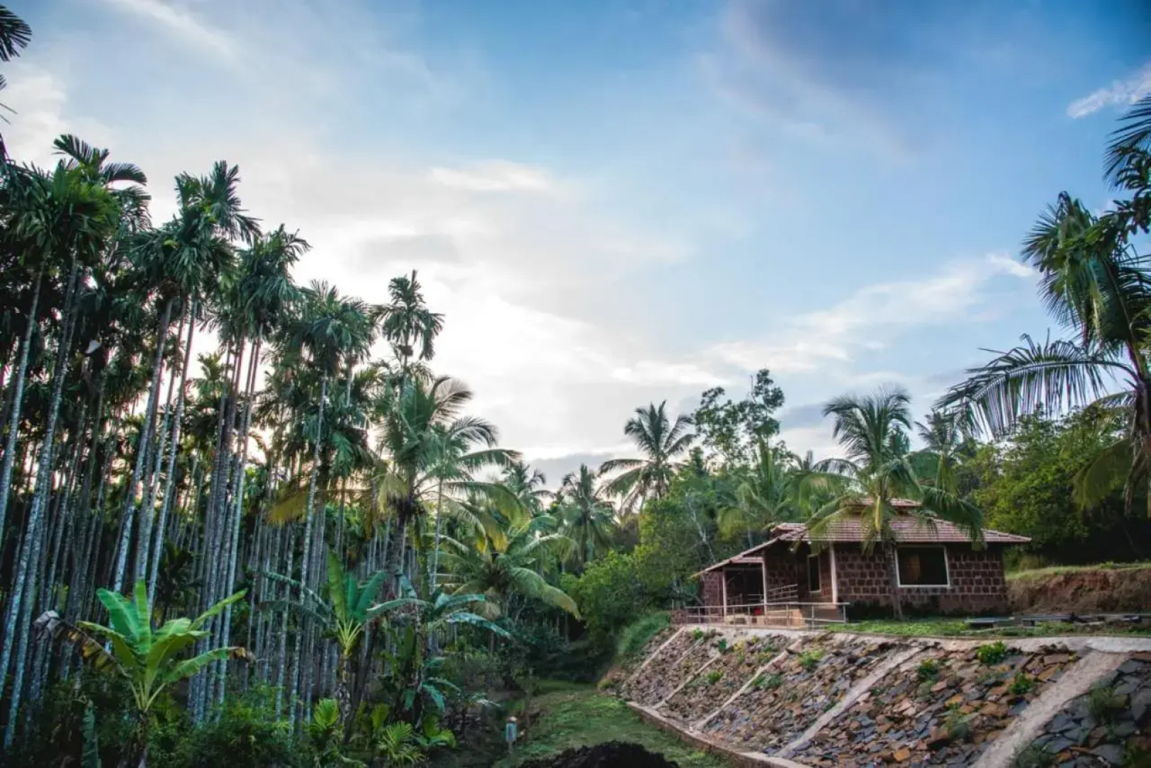 Dandeli Jungle Villa