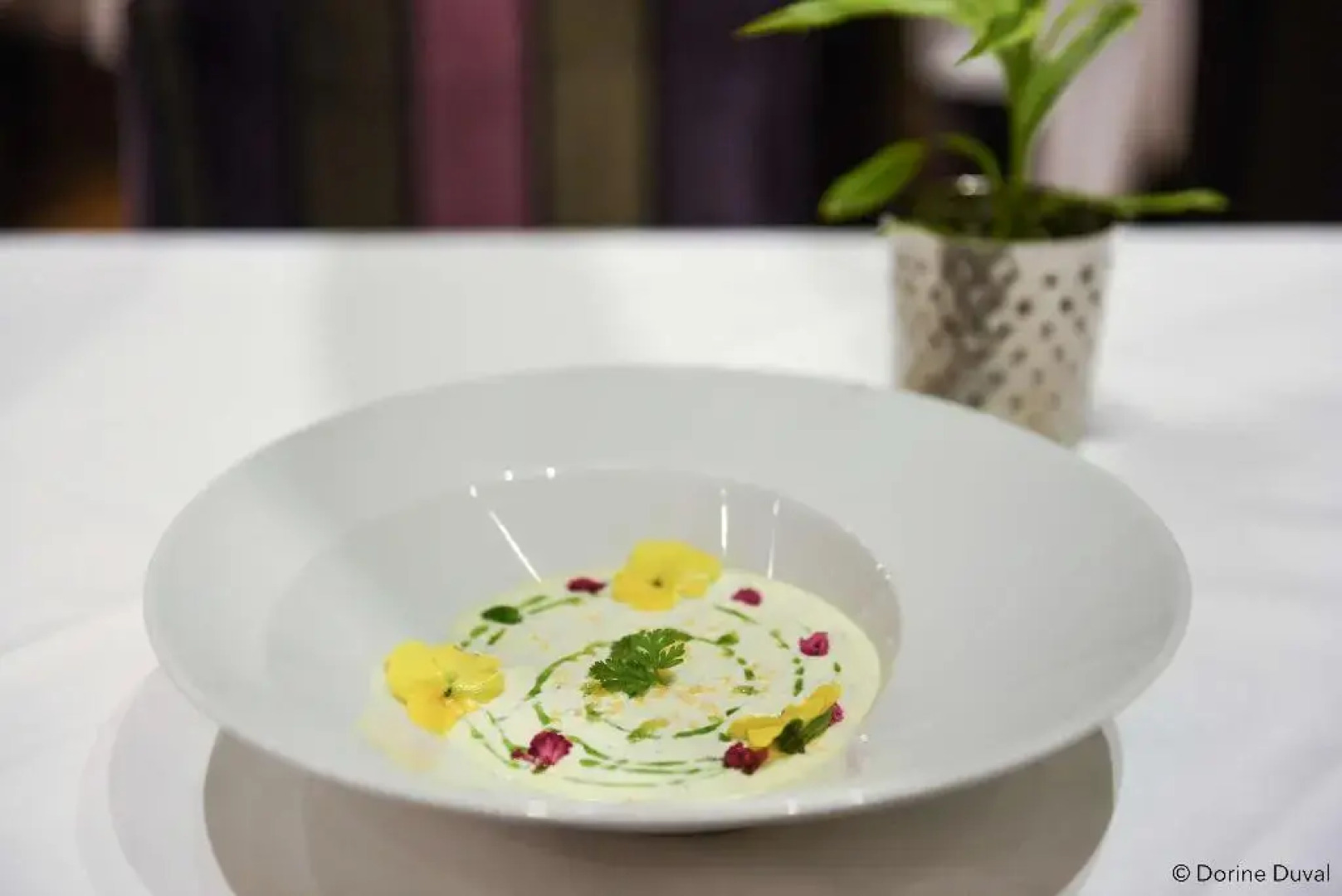 Oceania Hotel d'Anjou Angers