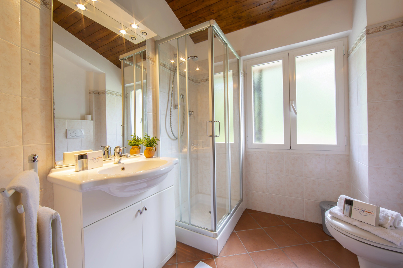 Gelsomino among vineyard