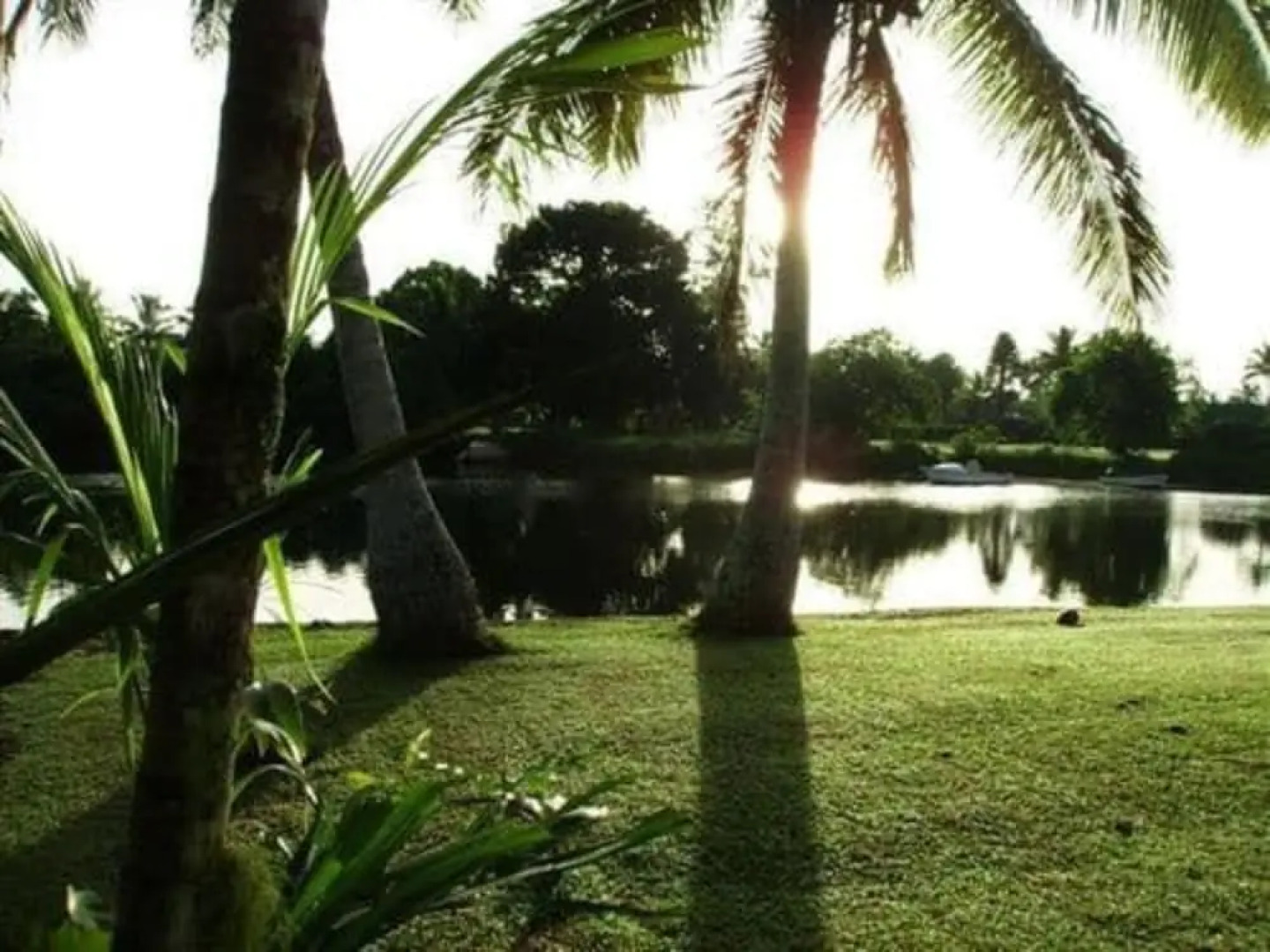 Golden Palms Retreat