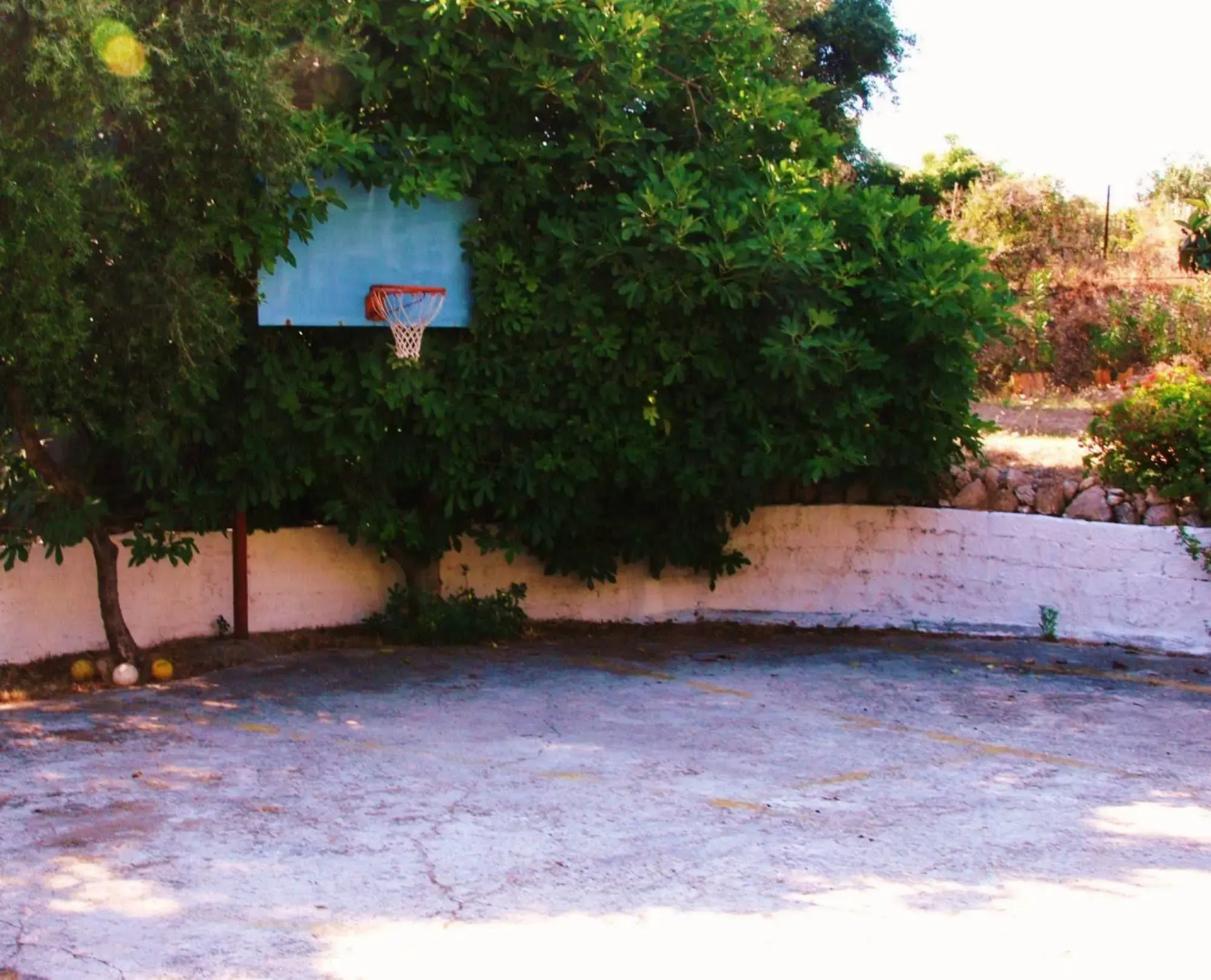 Anna Apartments