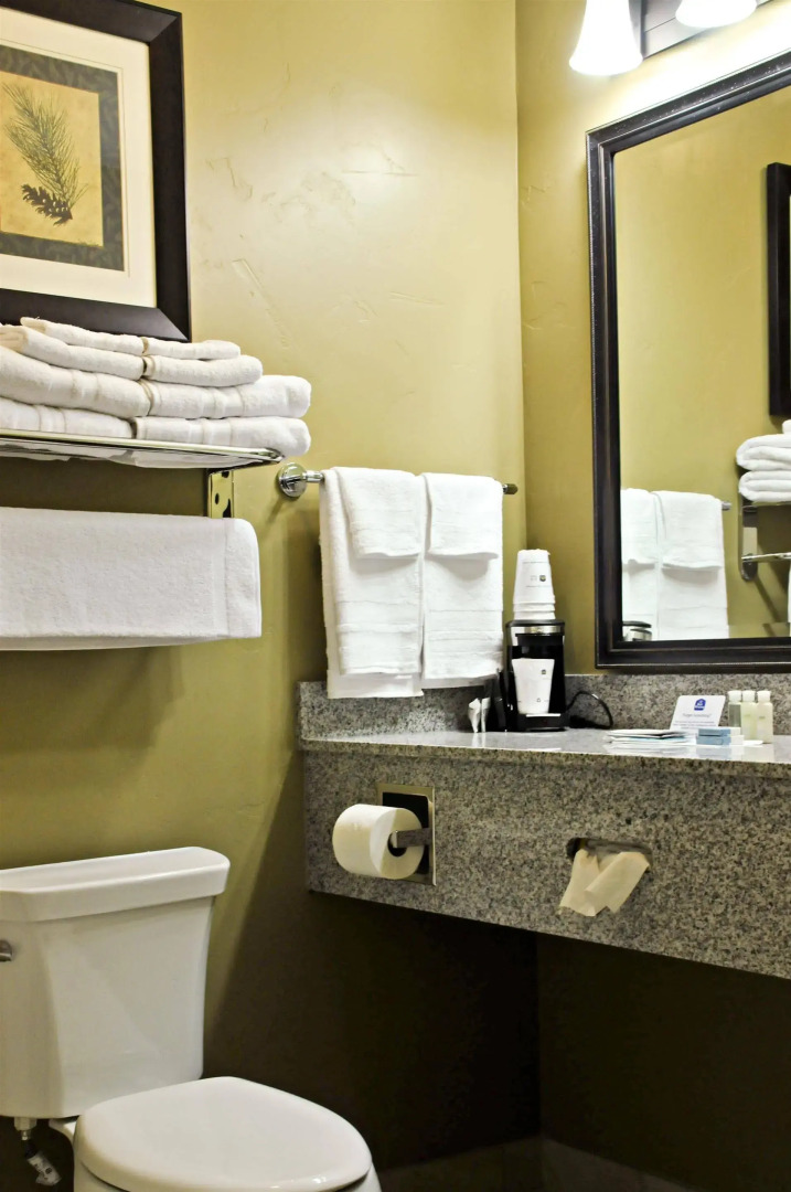 Best Western Plus Layton Park Hotel