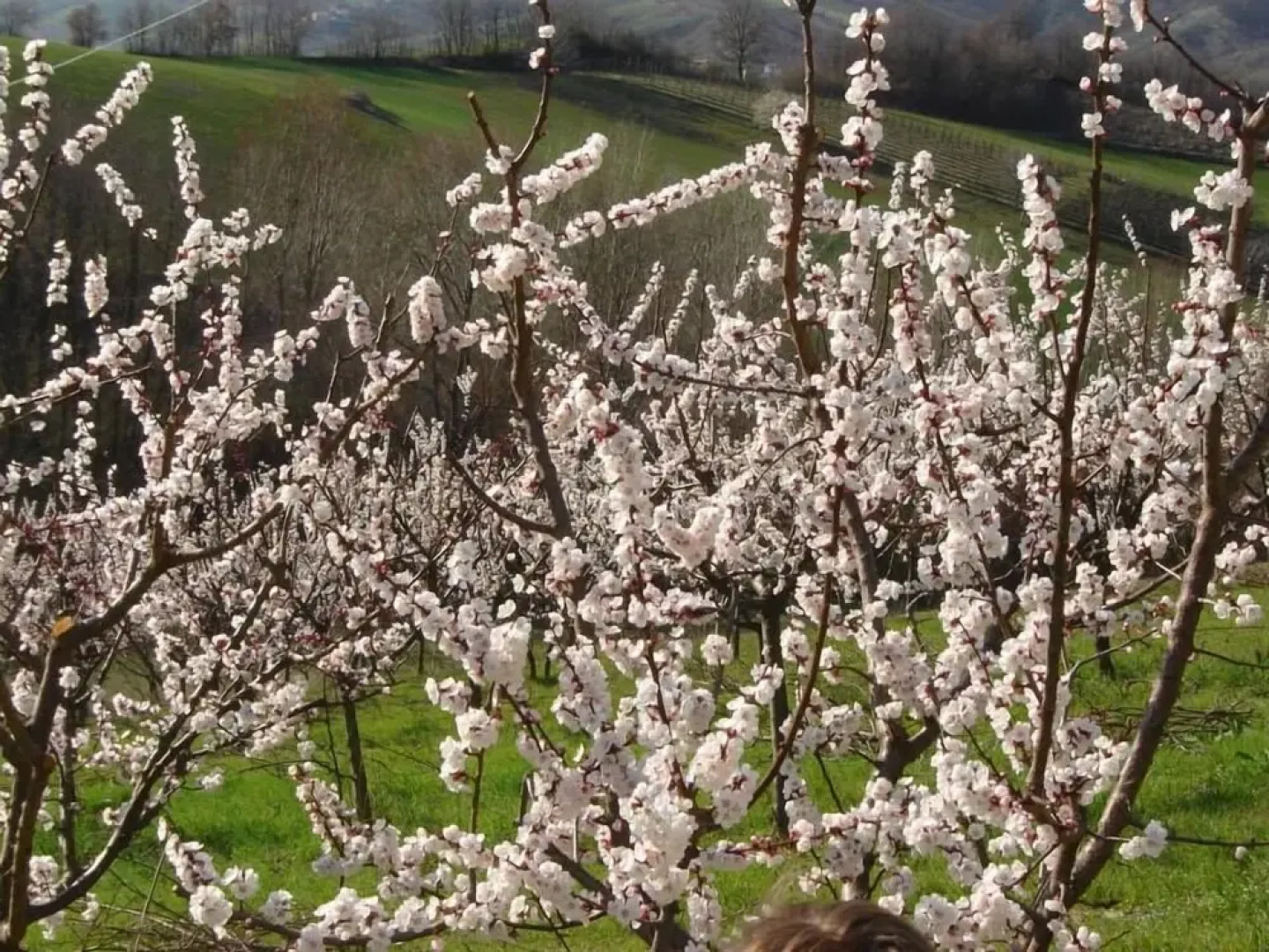 Casa dell' Abbondanza B&B Agriturismo