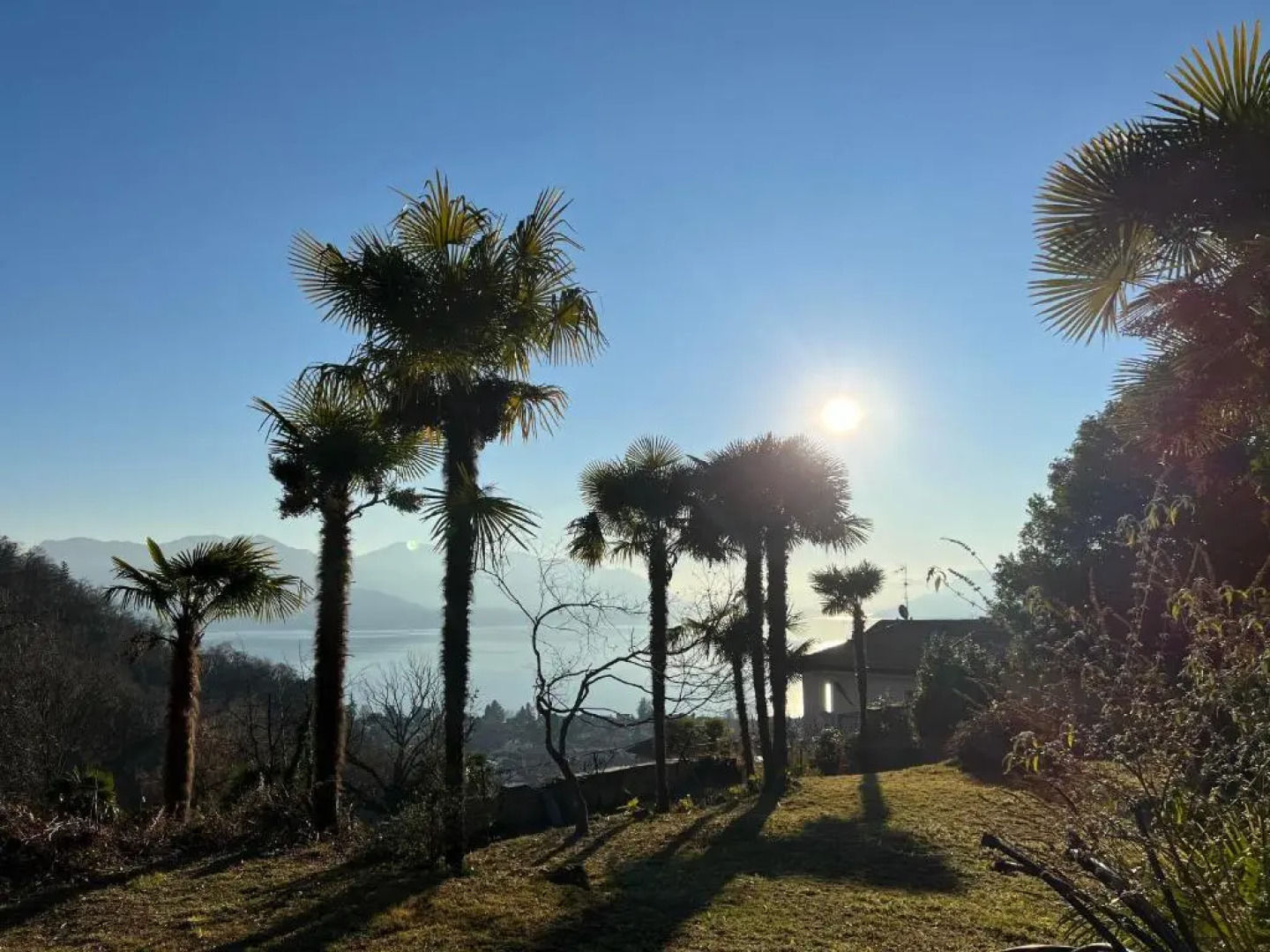 Appartamento Oliva Villa Arber