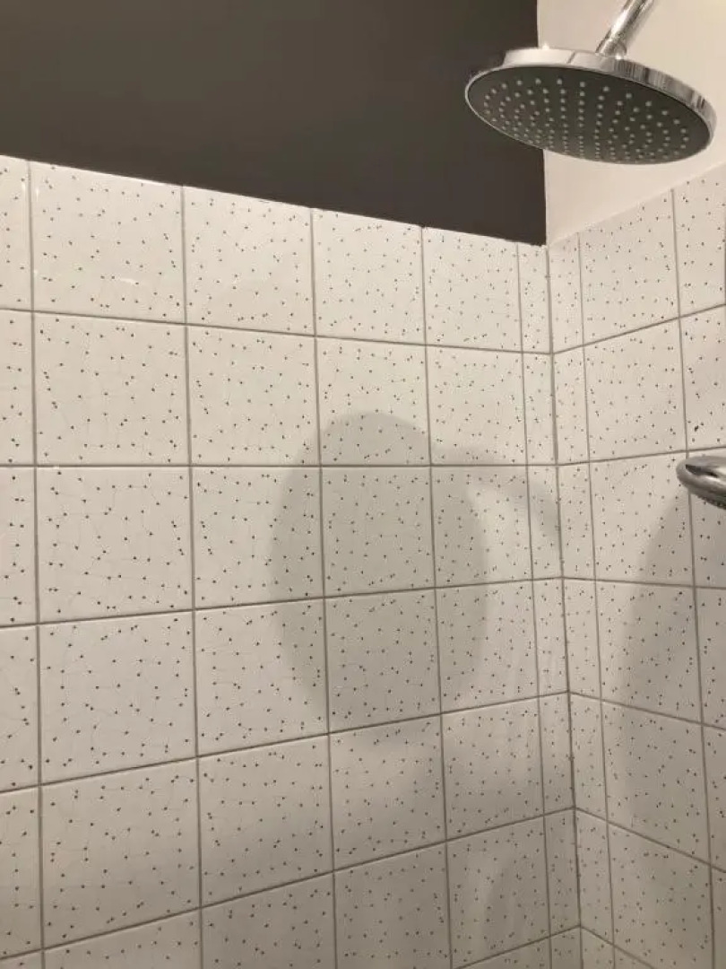 Studio standing, hyper centre, très calme