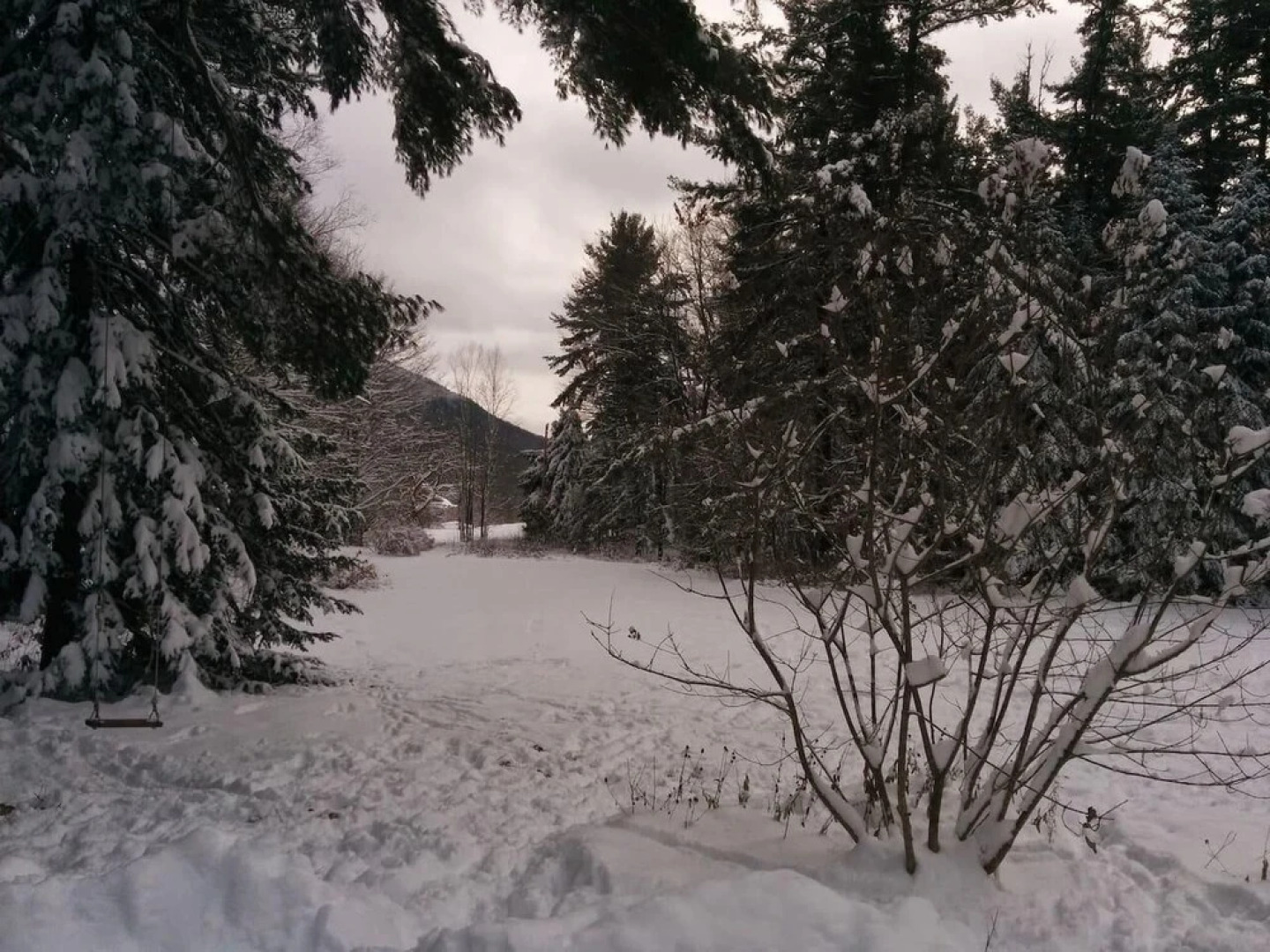 1900 Hilltop Bongalow