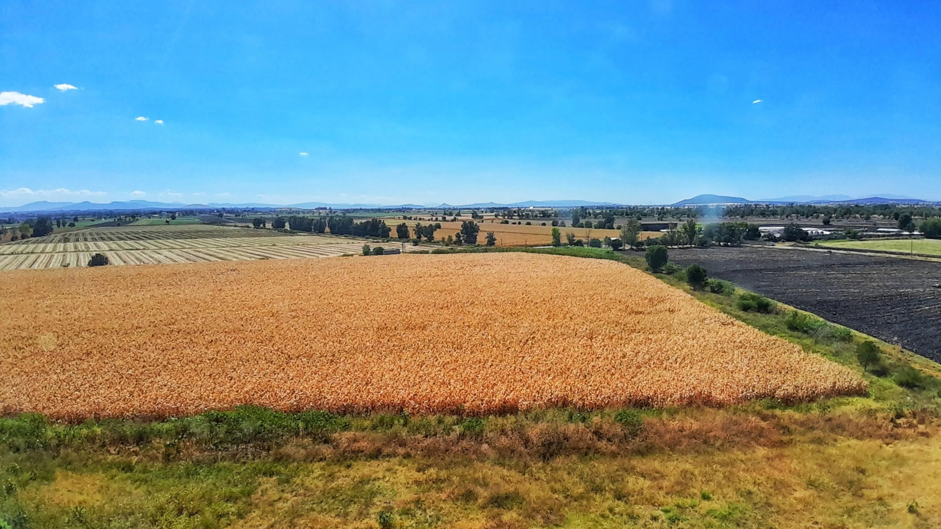 Hampton Inn & Suites by Hilton Salamanca Bajio