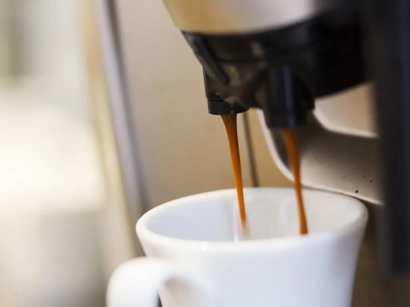 Hotel Holistic Resort