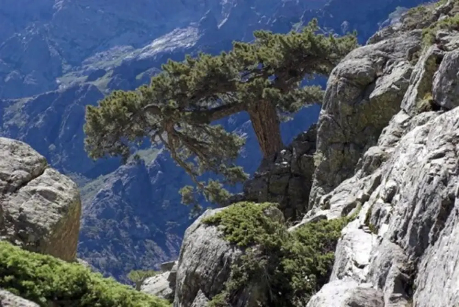 Camping Marina Di Sorbo