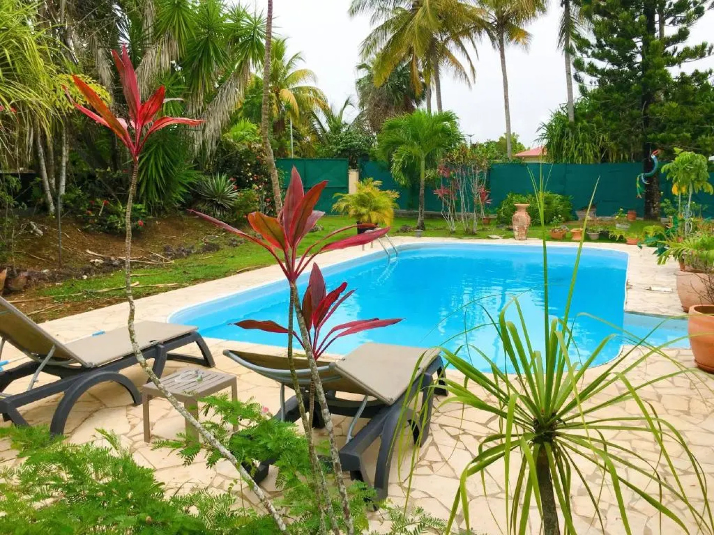 Charmant Studio Decor Naturel