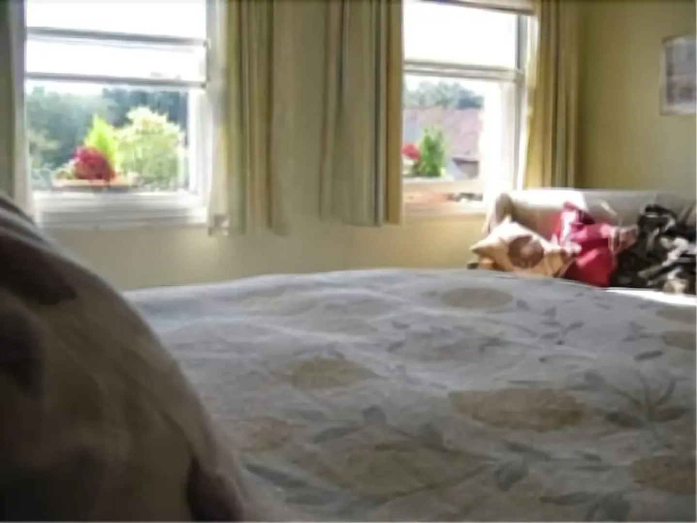 La Fosse at Cranborne