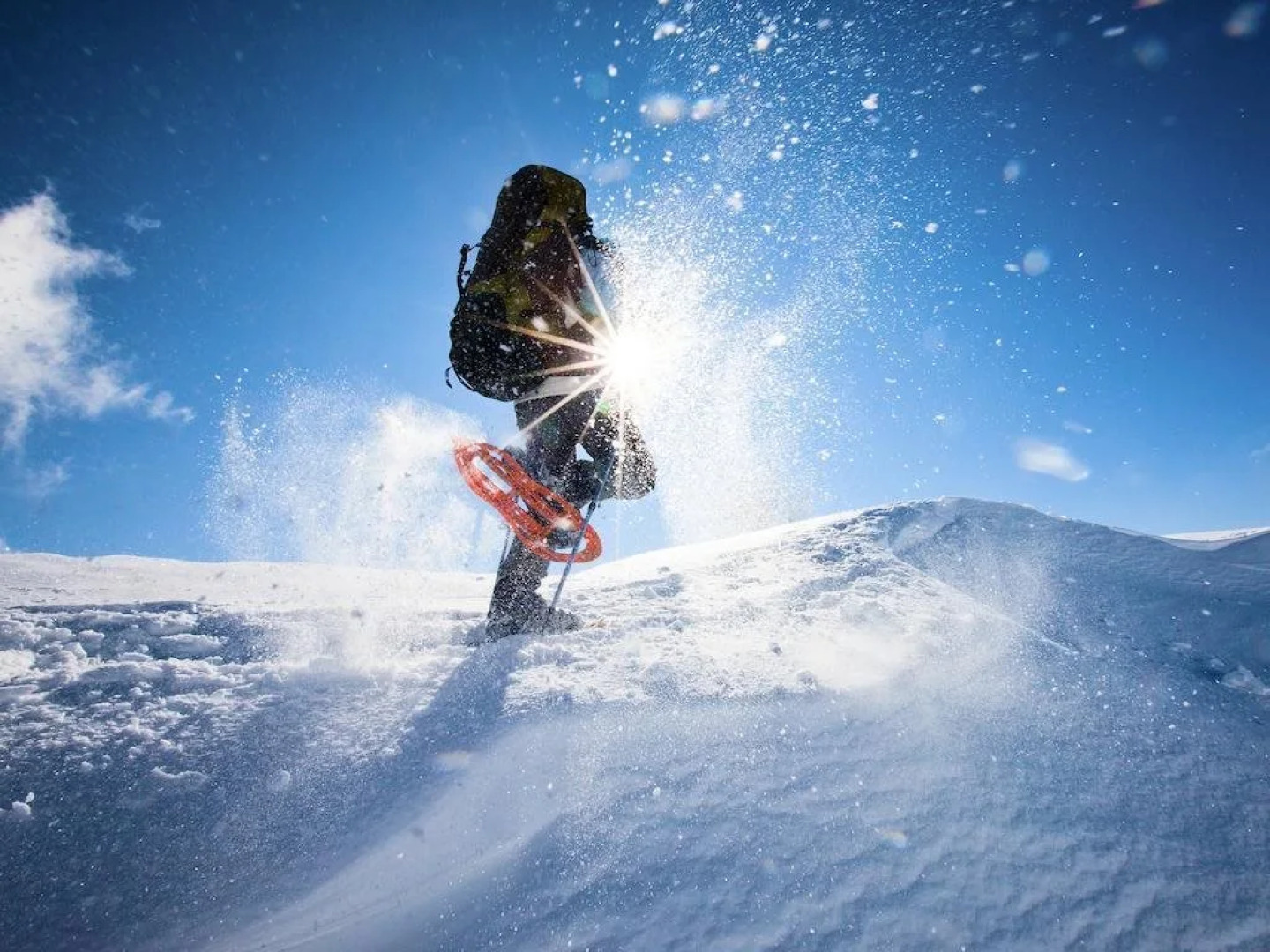 Arctic Panorama Lodge