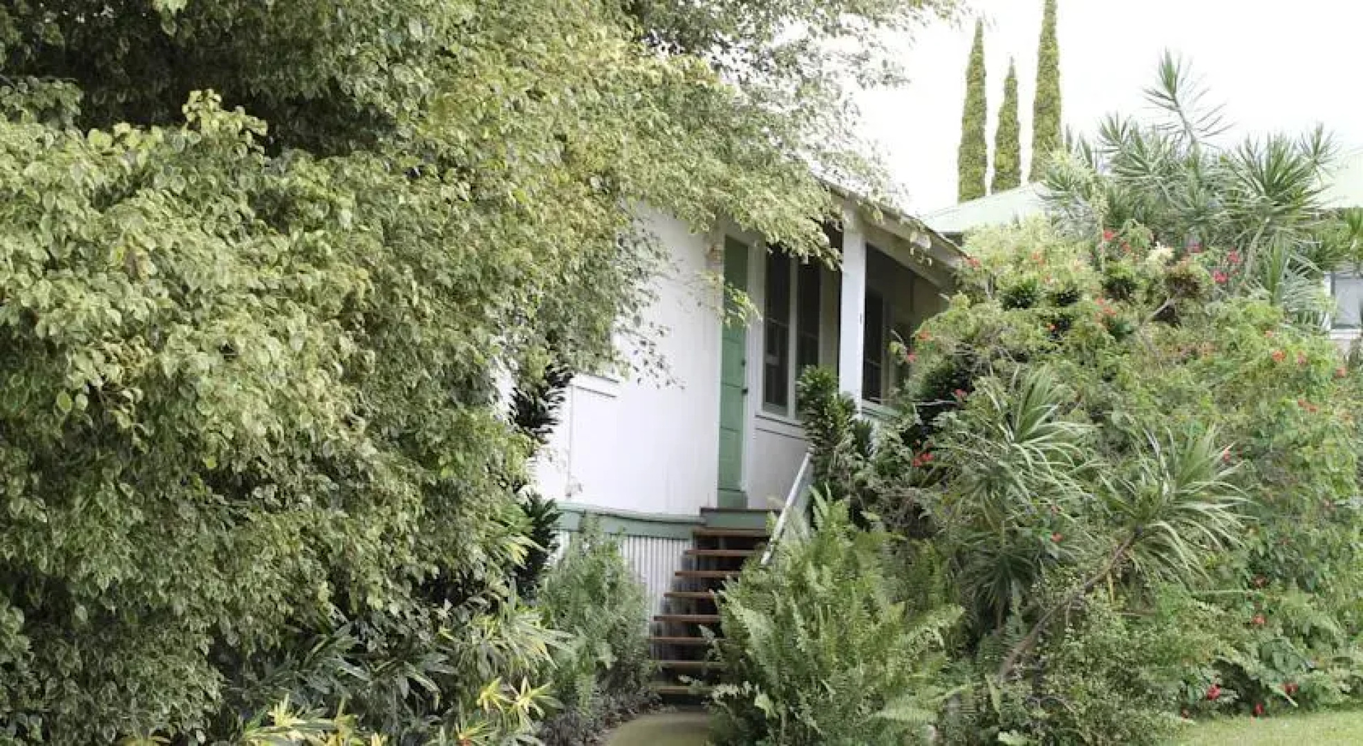 Ohia at Pahala Plantation Cottages
