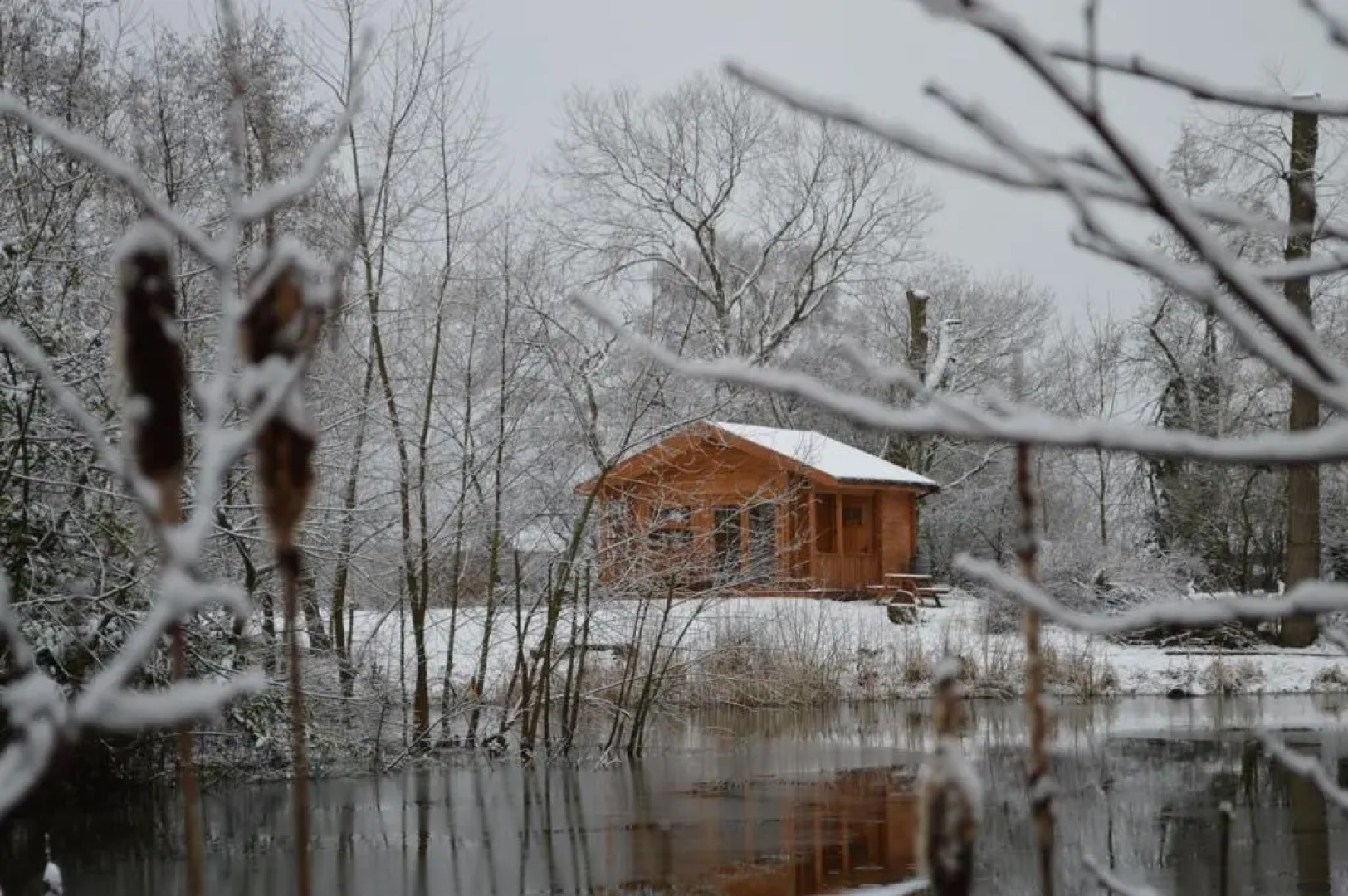 Acorn Glade Glamping