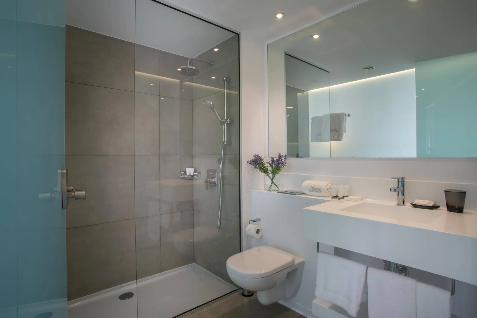 Anemi Hotel & Suites