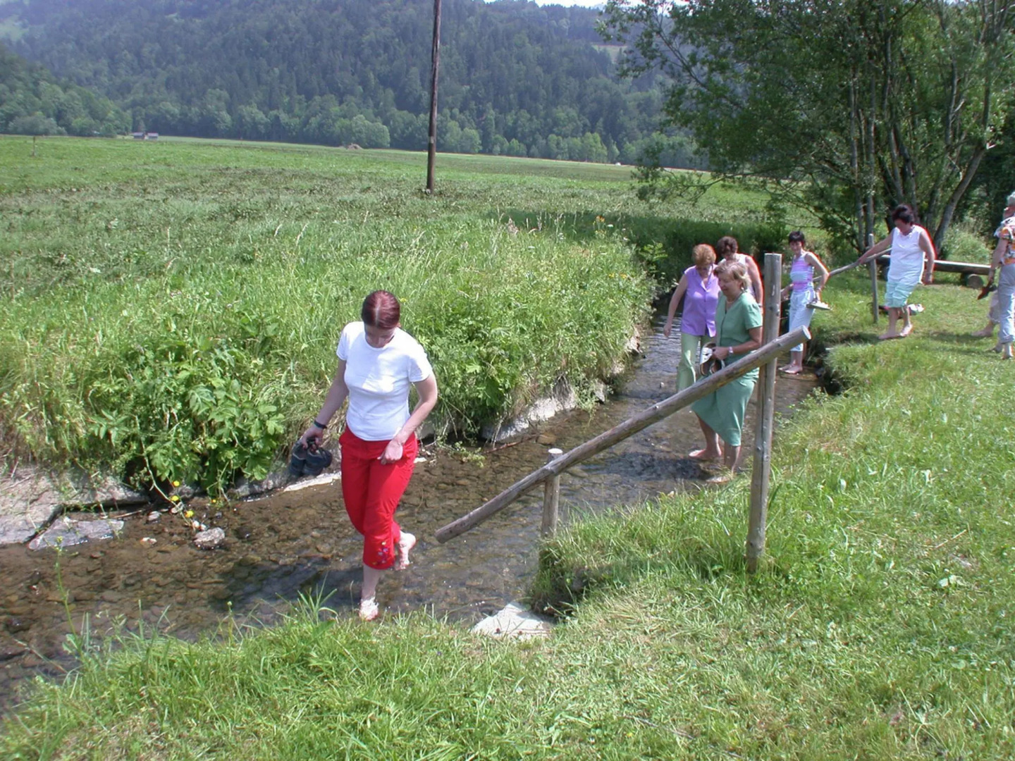 Chalet in Sibratsgfall Near Ski Slopes
