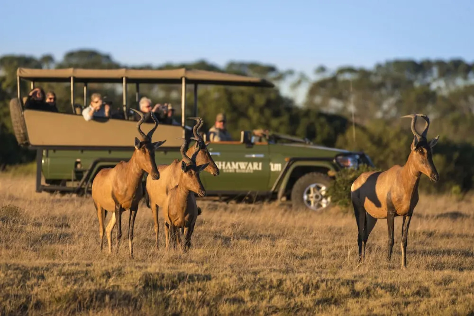 Shamwari Long Lee Manor