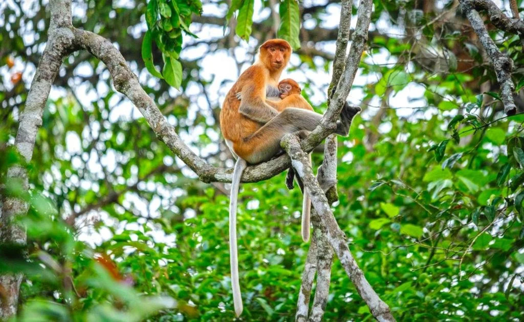 Singgahmata Holidays Camp