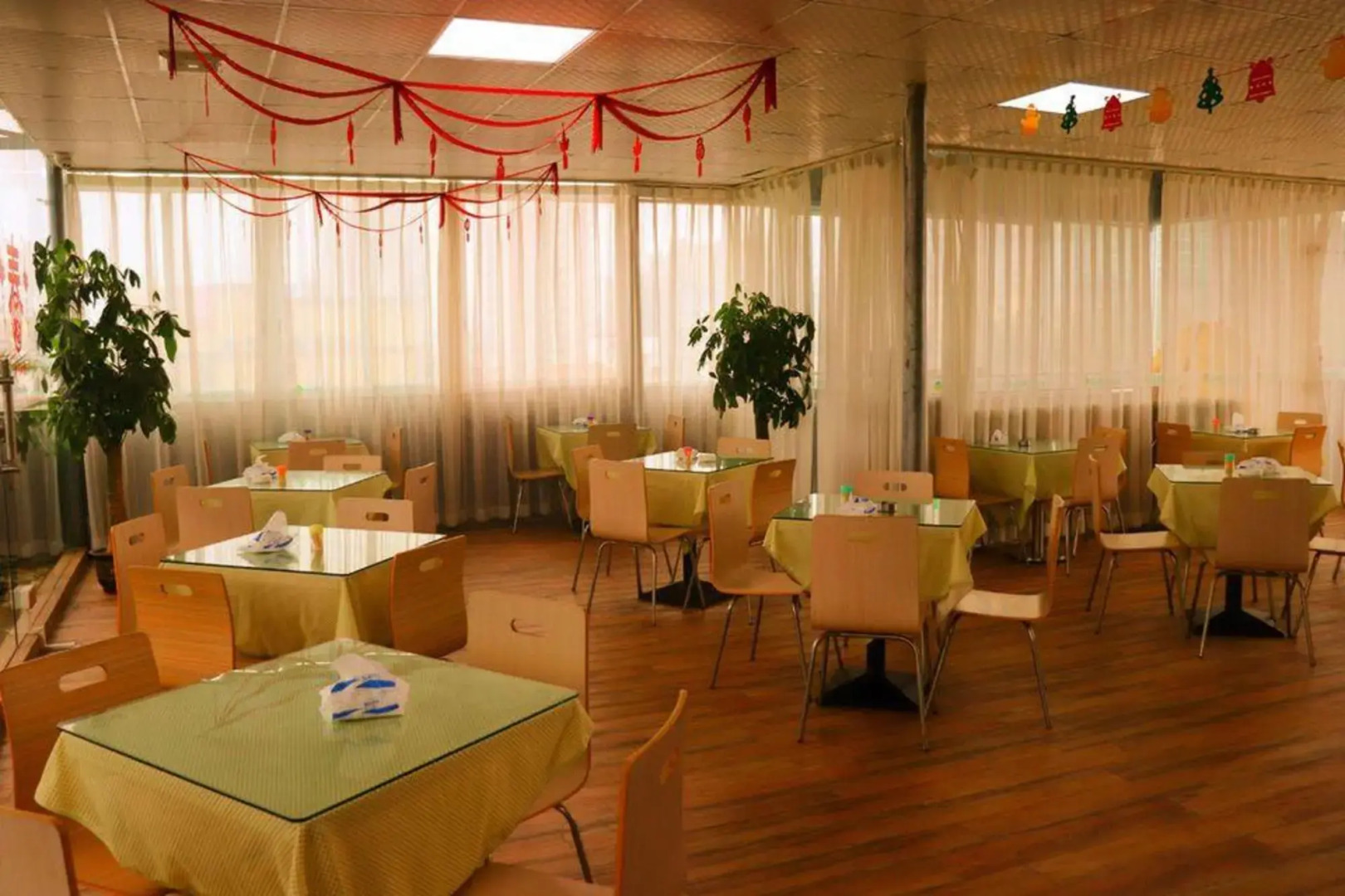 Young Trees Fashion Hotel