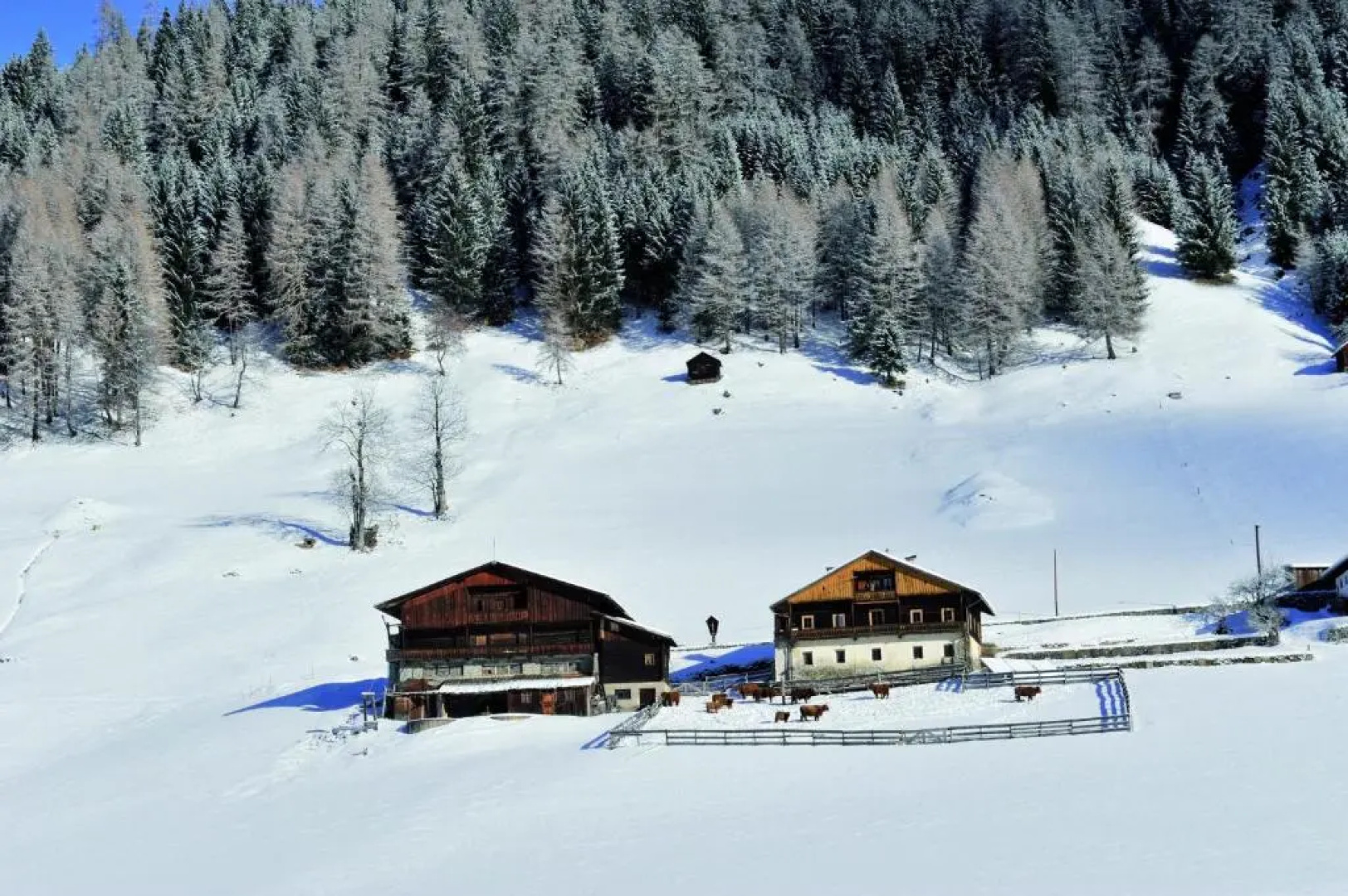 Aparthotel Monte