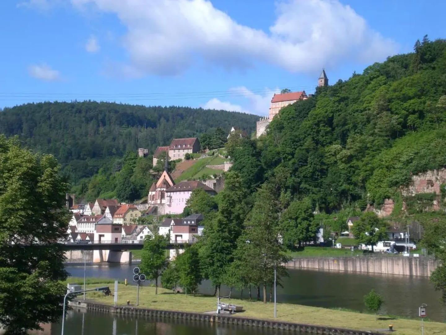 Romantisches Hirschhorn am Neckar