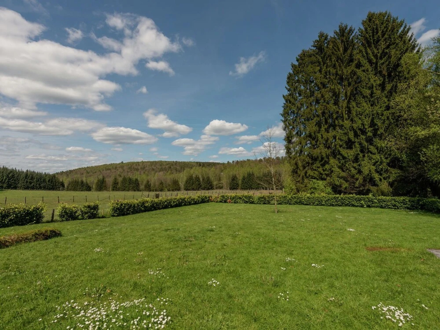 Magnificent Mansion with Sauna & Hot Tub in Libin