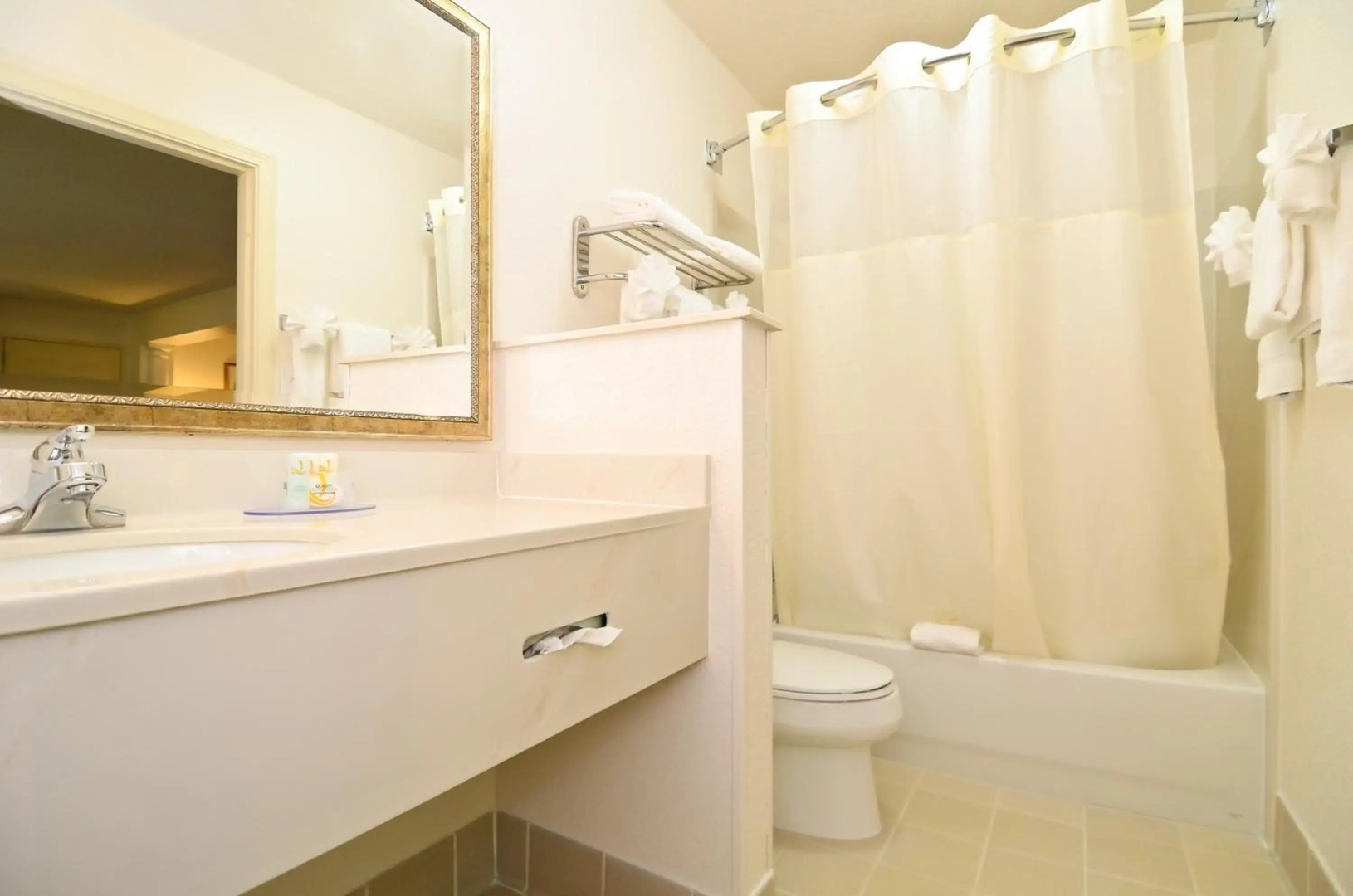 Quality Inn & Suites Biltmore East