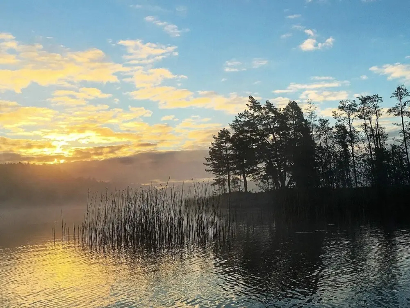 5 Person Holiday Home in Mellosa