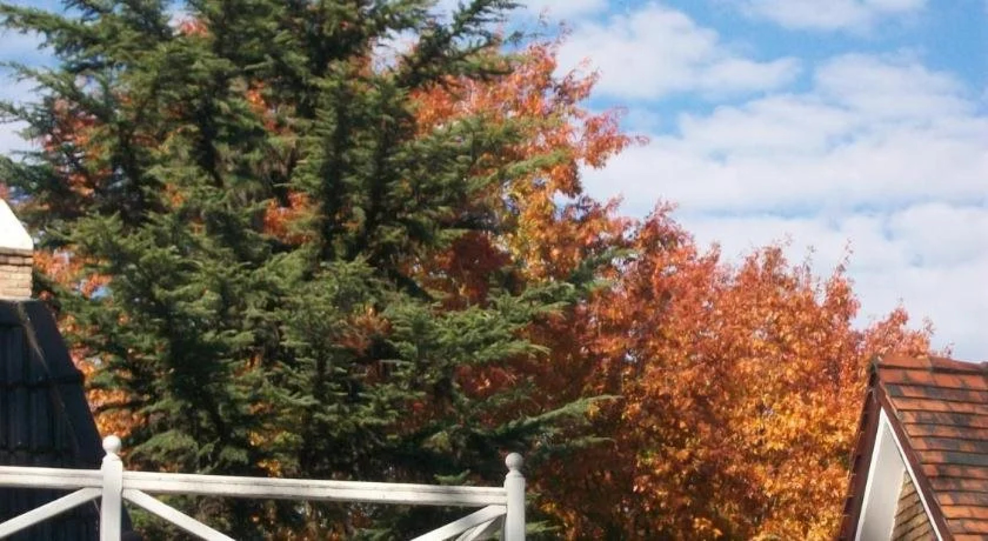 Los Alamos Bed And Breakfast