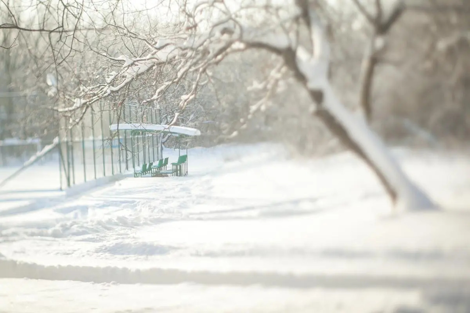База отдыха Парк-Клуб Дубровский
