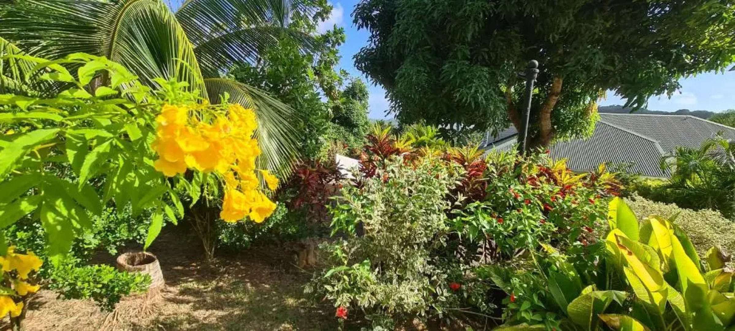 Residence Can' Hibiscus