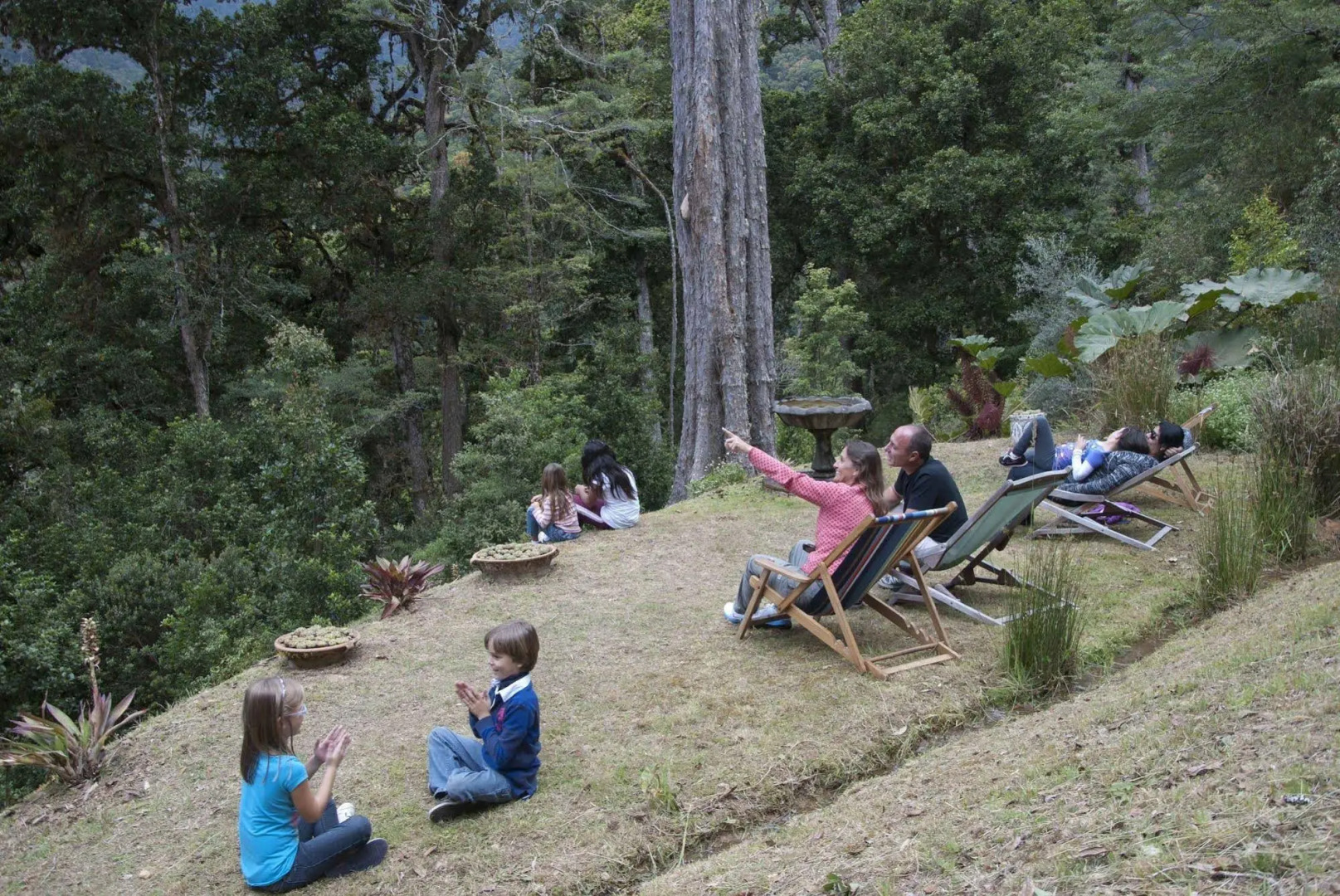 Dantica Cloud Forest Lodge