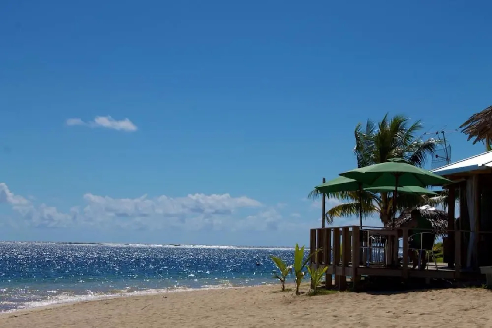 Savaii Lagoon Resort
