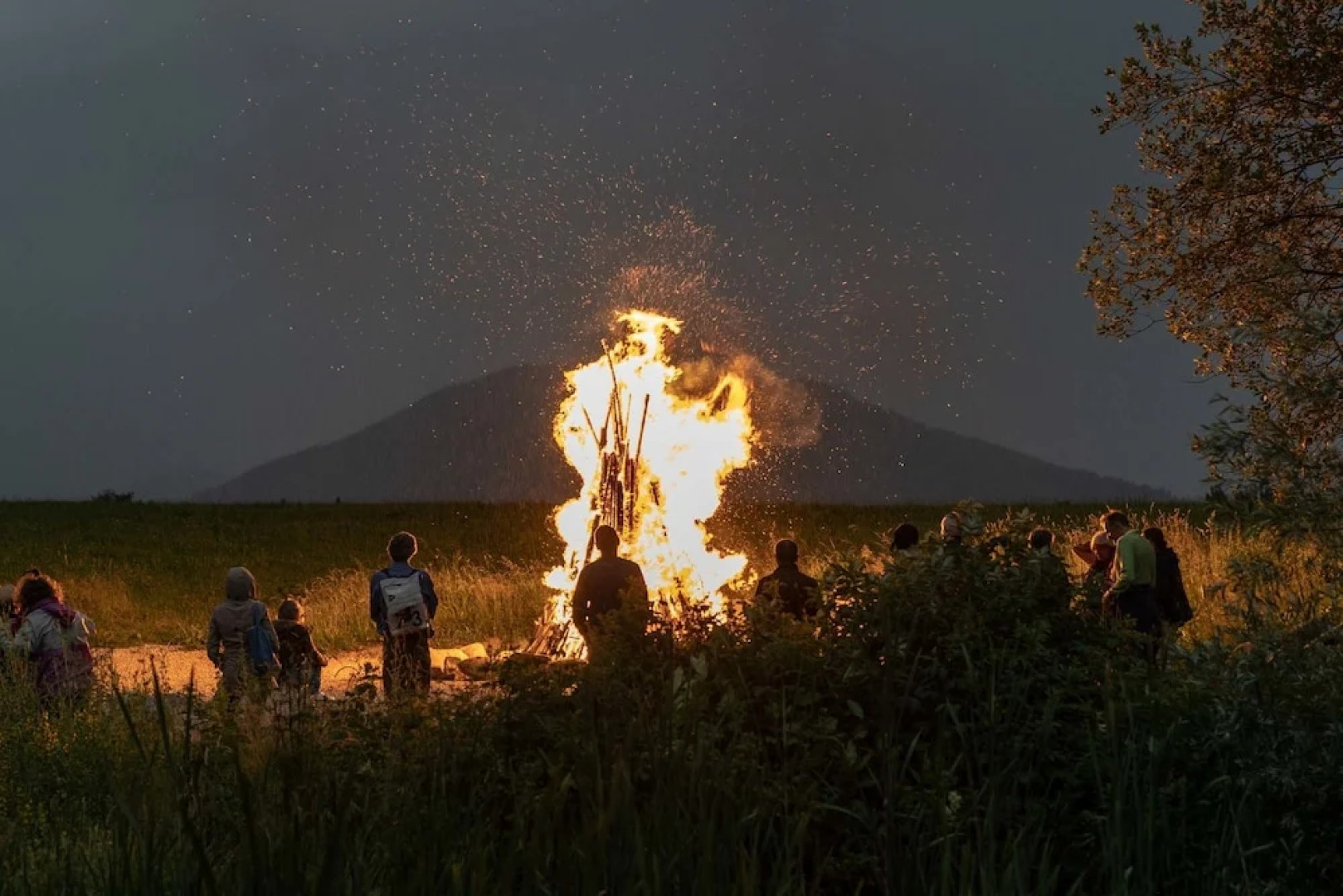 SEINZ - vegetarisches/ veganes BioHotel