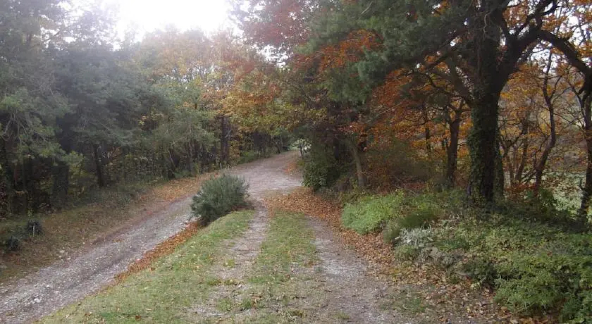 Gîte La Thuillière