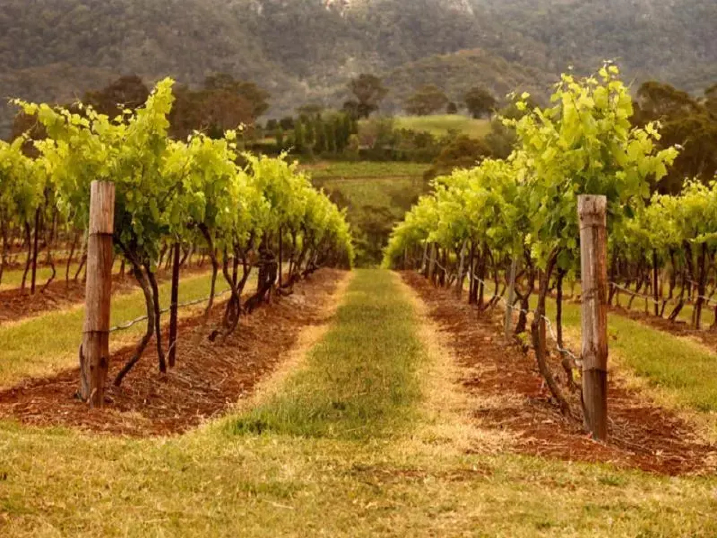 Hunter Habit Cottages