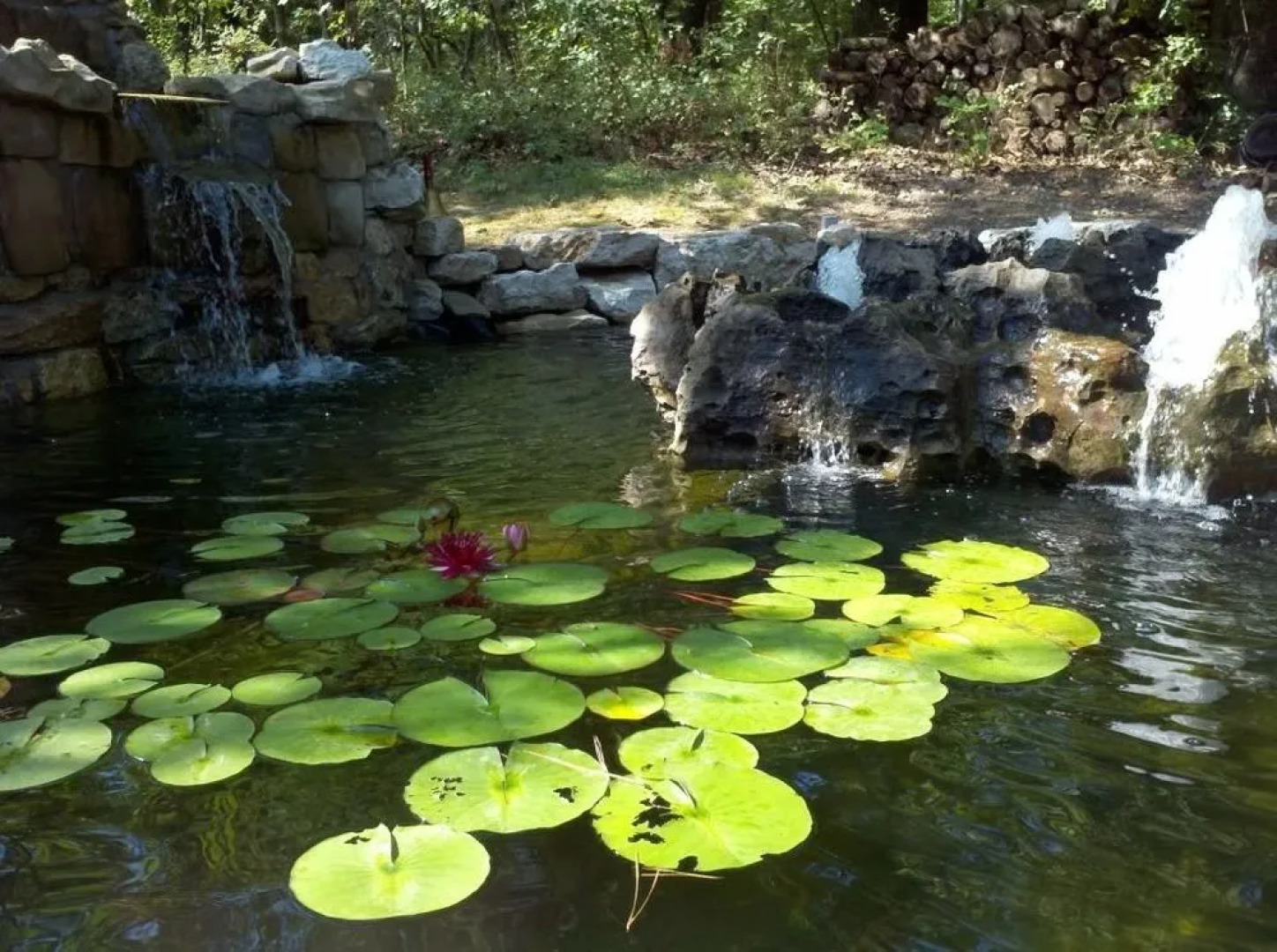 Dragonfly Mountain Lodge