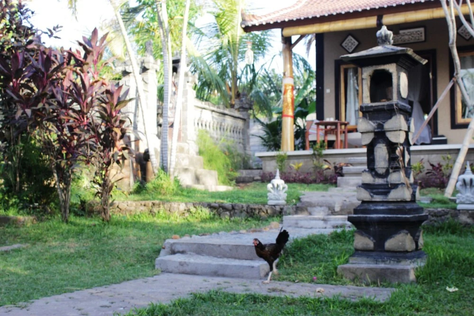 The Banyan Menjangan