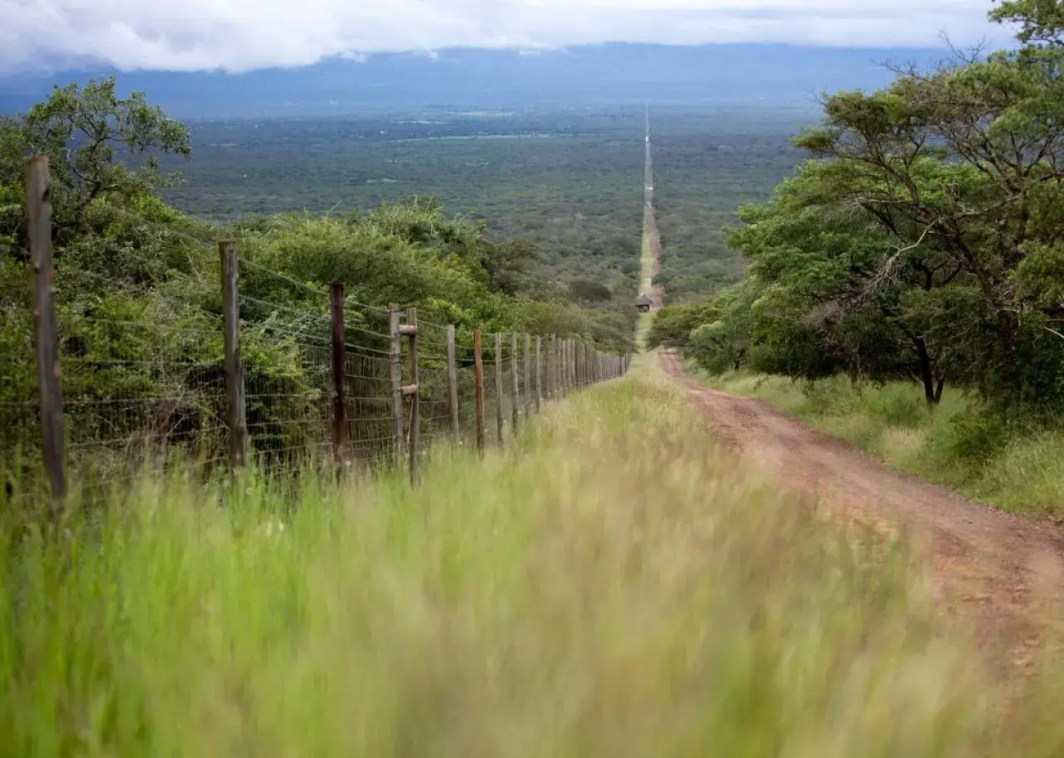 Royal Thonga Safari Lodge