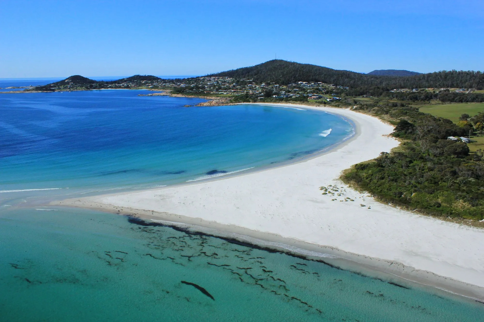 Diamond Island Resort & Penguin viewing