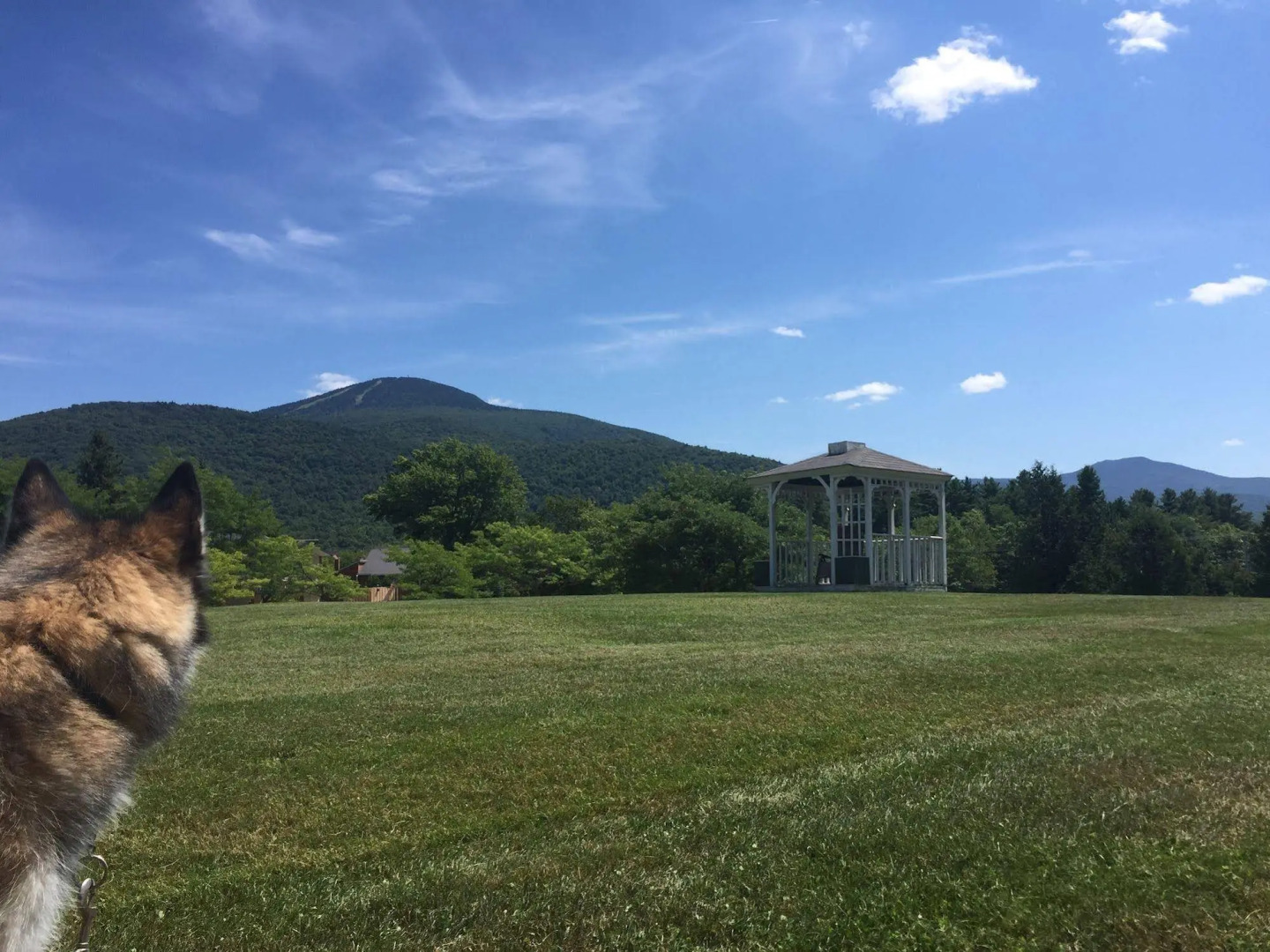 Cortina Inn & Resort