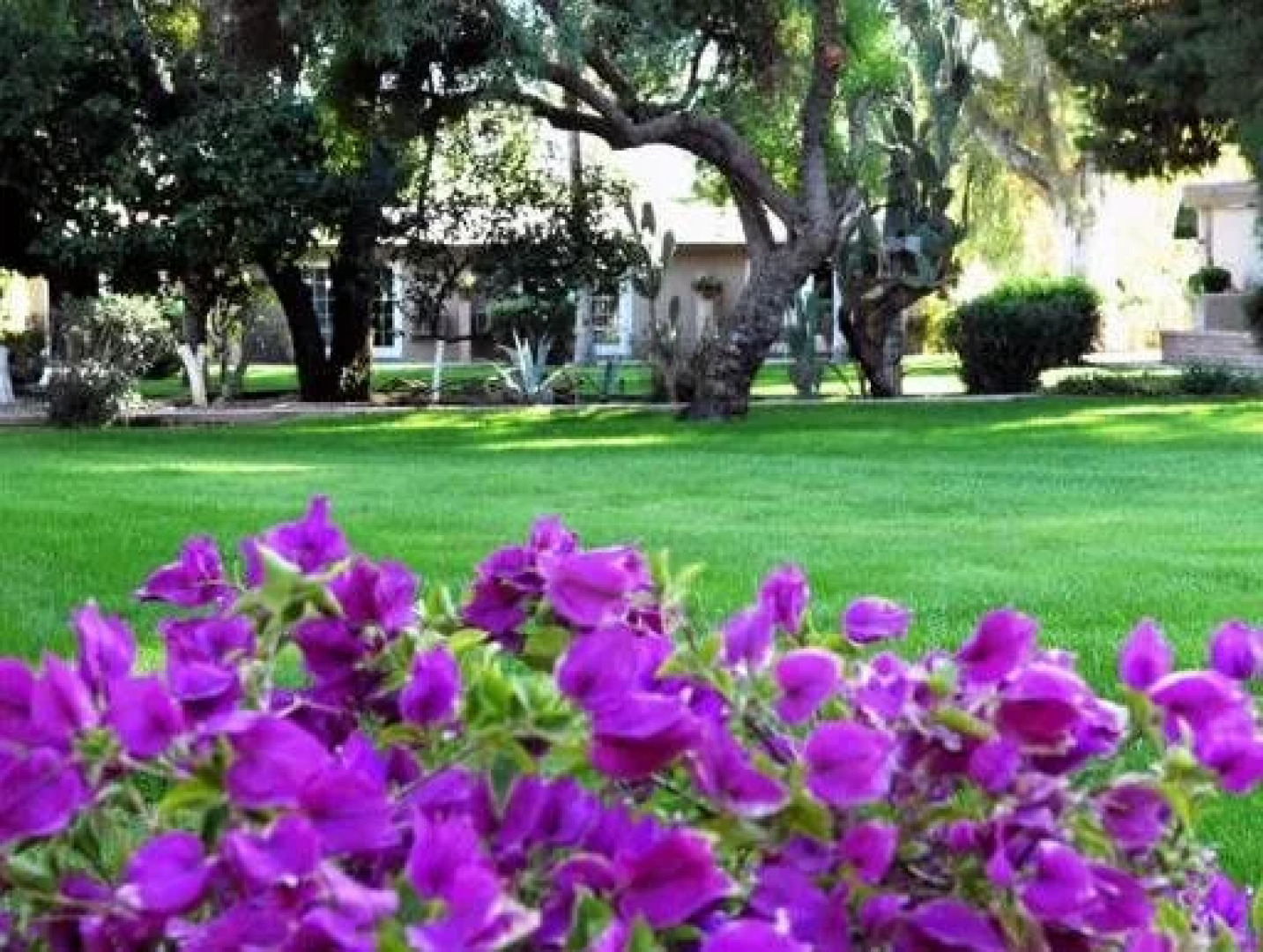 SmokeTree Resort and Bungalows