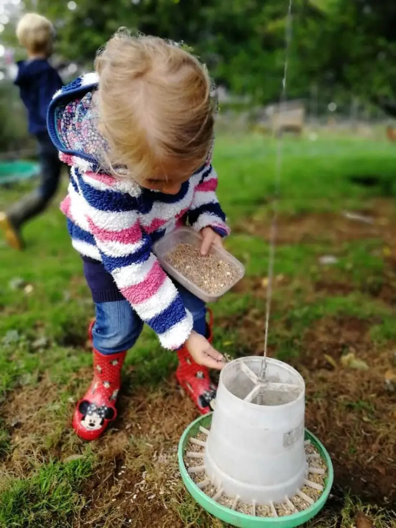 Higher Culloden Farm