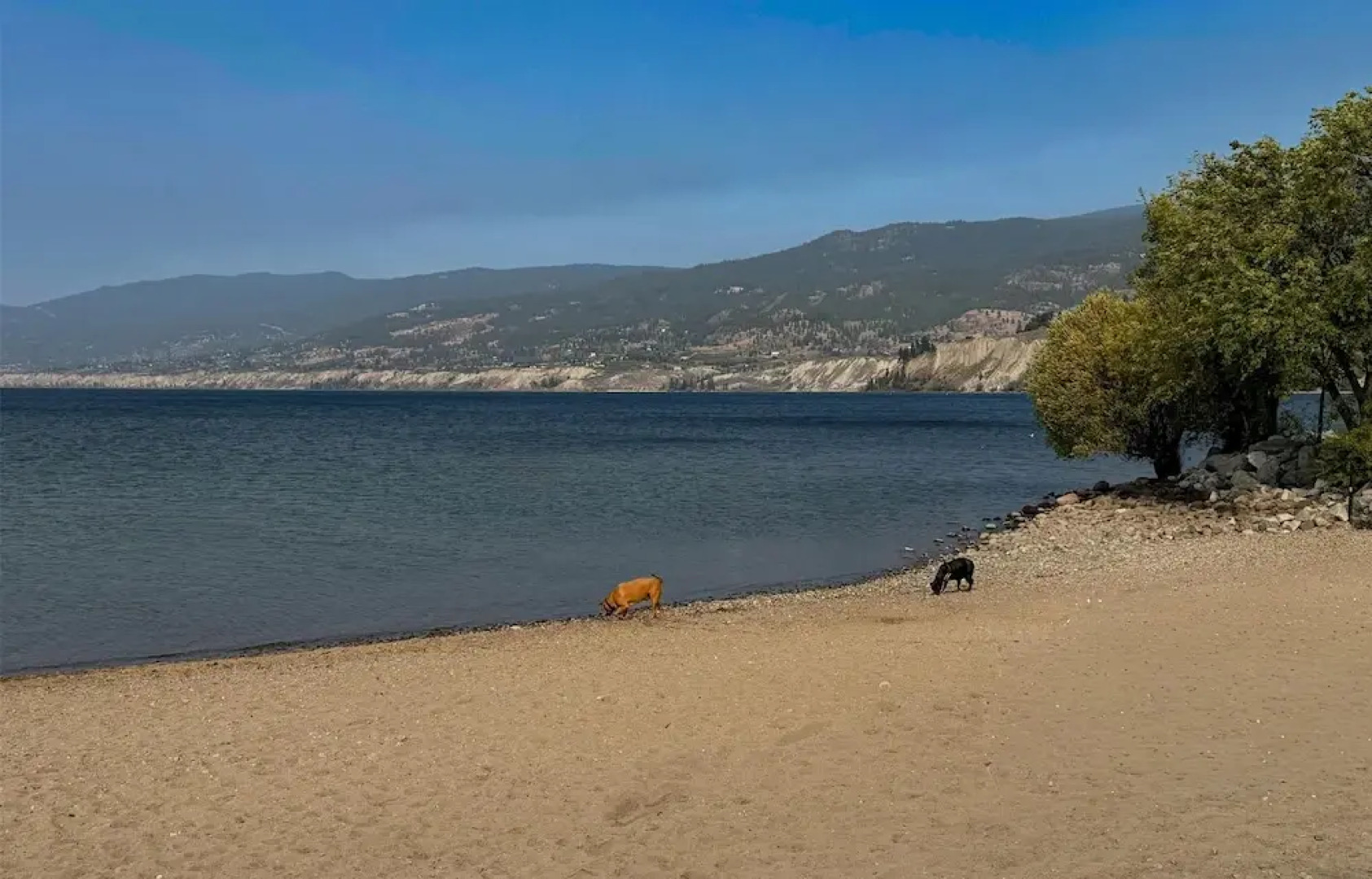 Coast Penticton Hotel