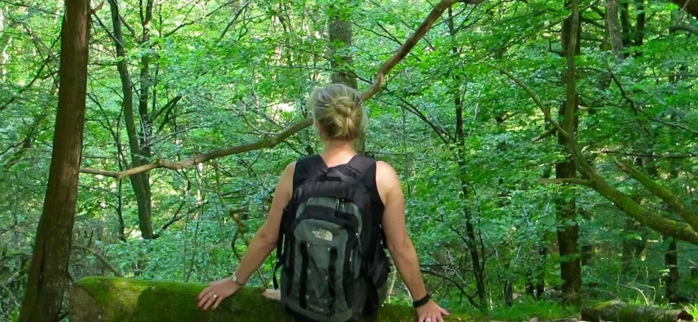 Bokebacken Forest Hotel