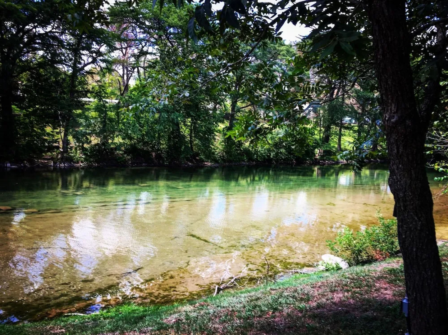 River Rd. Treehouses-Mourning Dove Haus