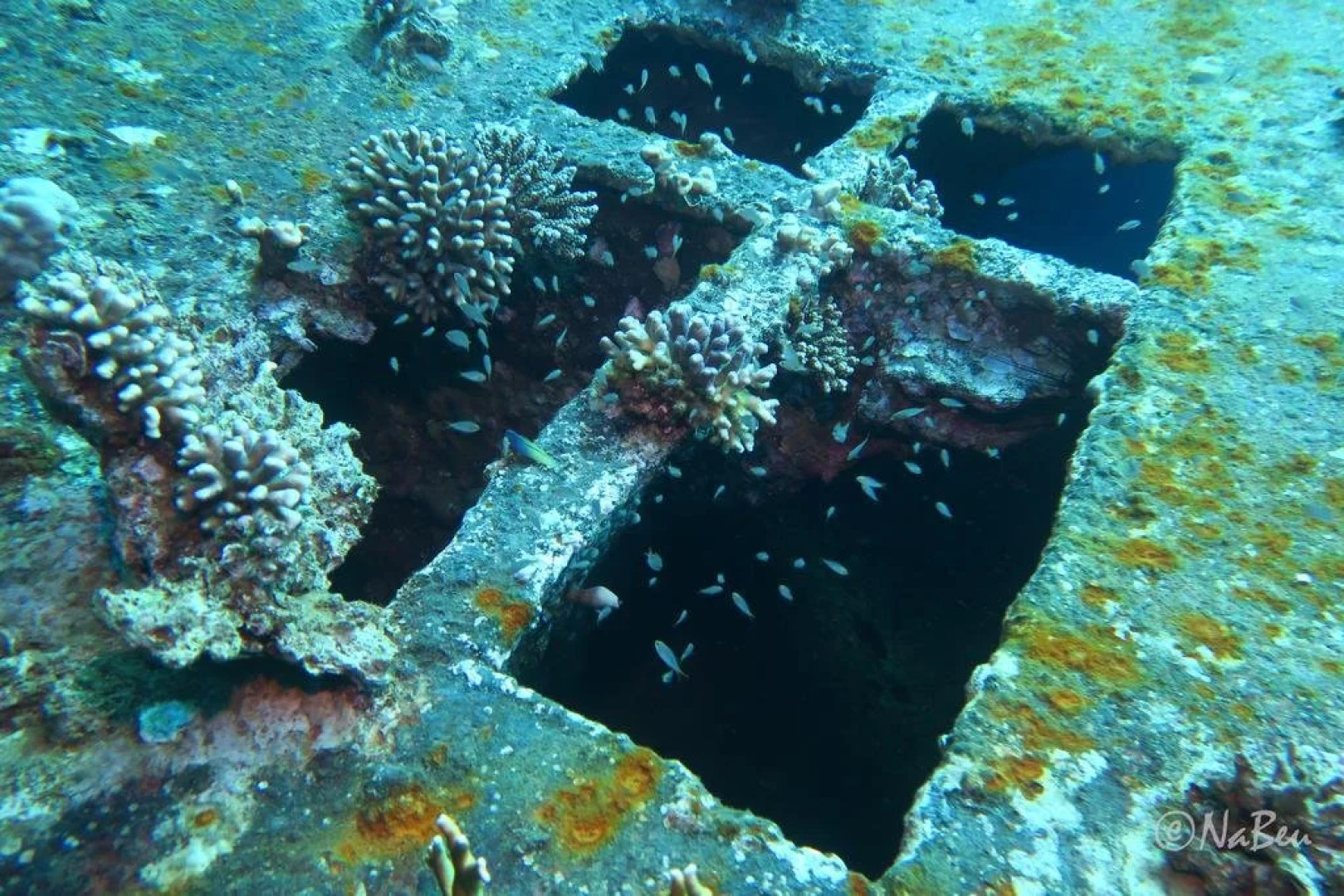 Bait al Aqaba Dive Center & Resort