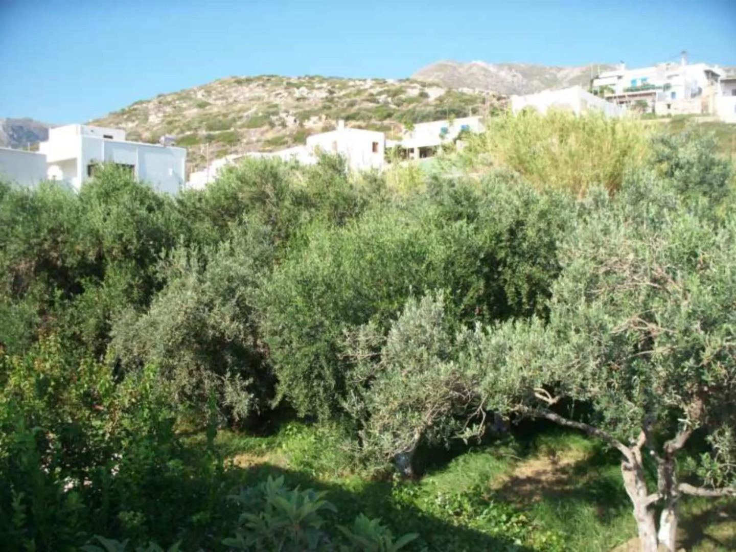 Adonis Hotel Naxos